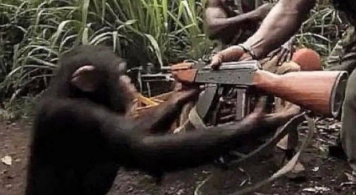Monkey with gun meme